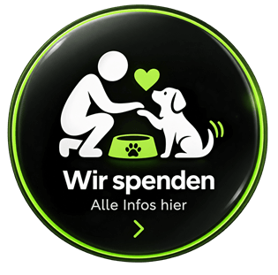flexdienst spendet monatlich ans Tierheim Kaiserslautern